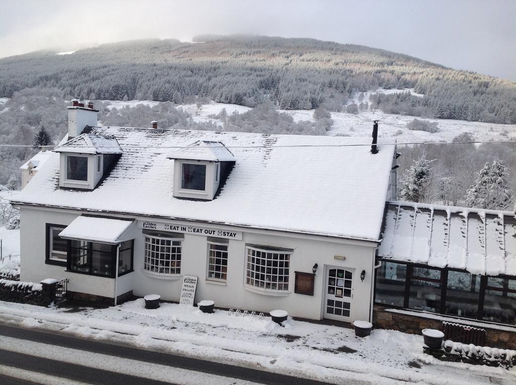The Golden Larches Bed and Breakfast Lochearnhead Buitenkant foto