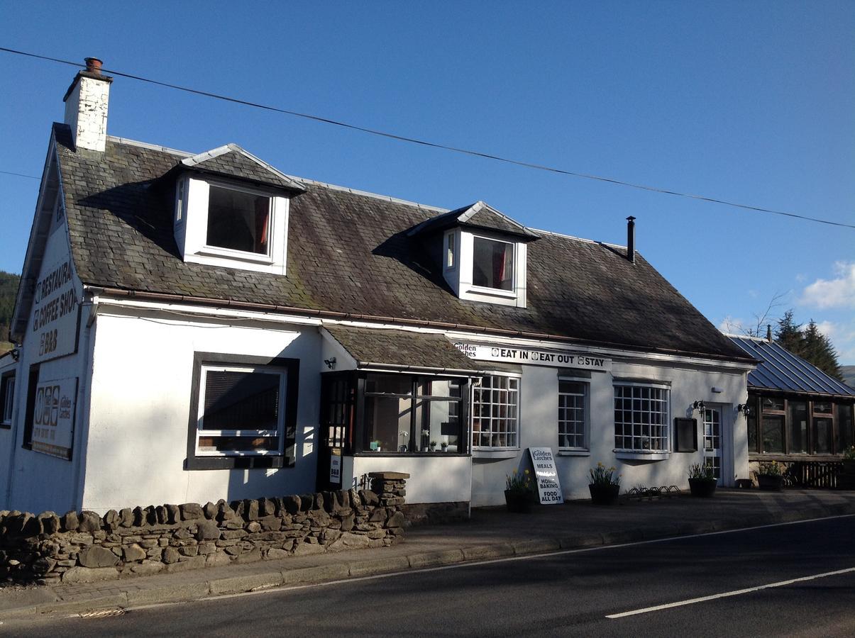 The Golden Larches Bed and Breakfast Lochearnhead Buitenkant foto